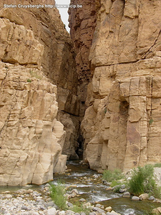 Wadi Mujib siq De ingang van de smalle siq van Wadi Mujib. Stefan Cruysberghs